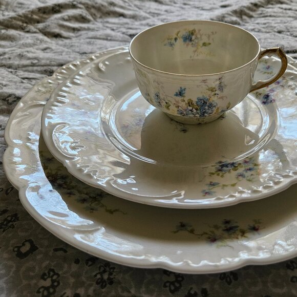 Theodore Haviland Limoge France 1890s Schleiger China - Picture 1 of 8